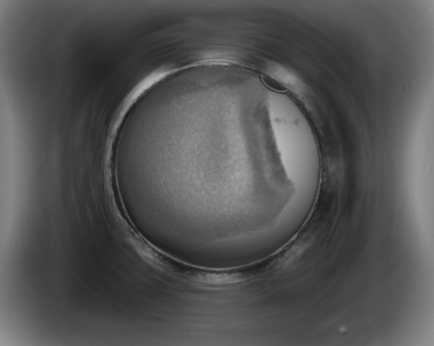 X0000086001427200703300938