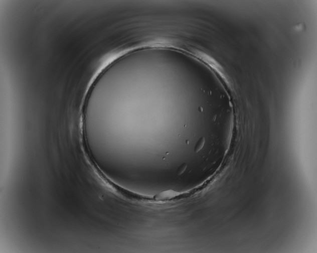 X0000086001428200703300938