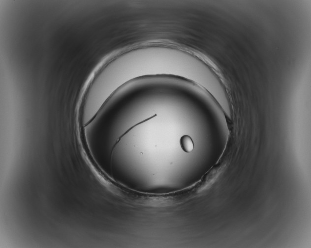 X0000086001430200703300938