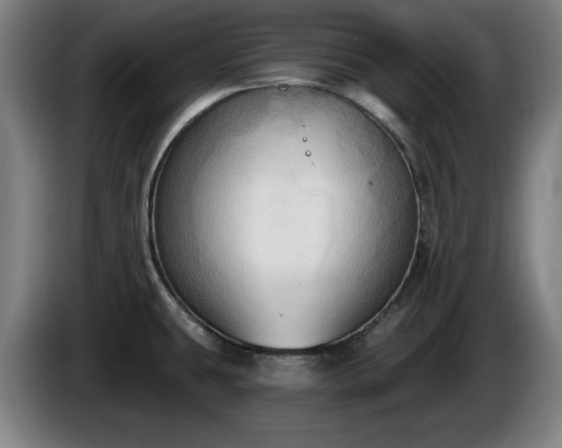 X0000086001431200703300938