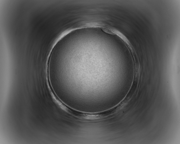 X0000086001439200703300938