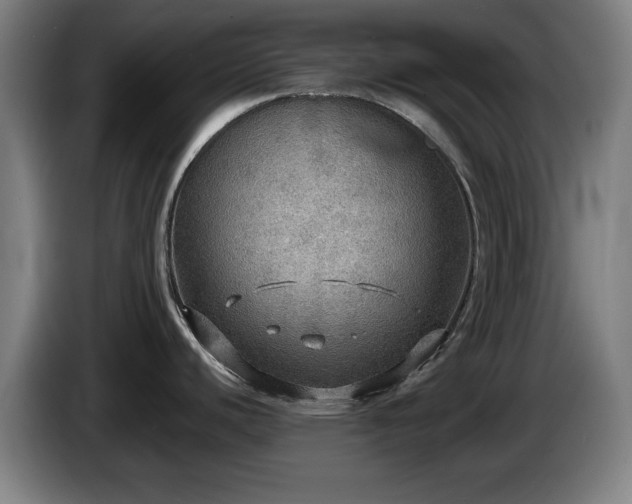 X0000086001440200703300938