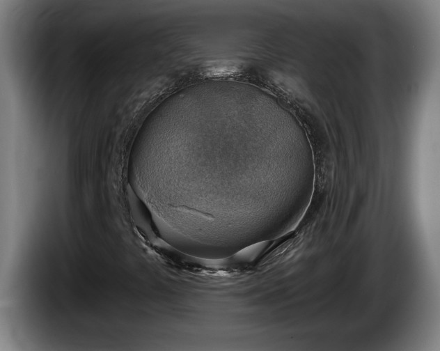 X0000086001441200703300937