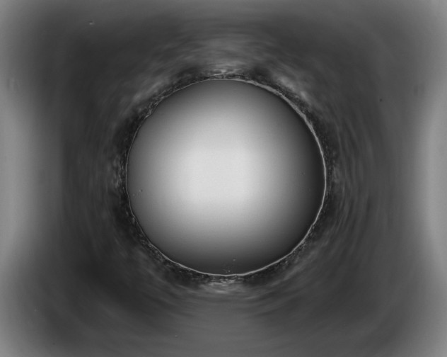 X0000086001447200703300937