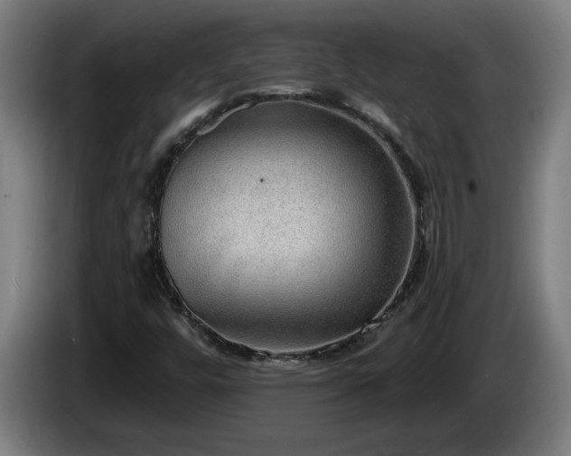 X0000086001448200703300937