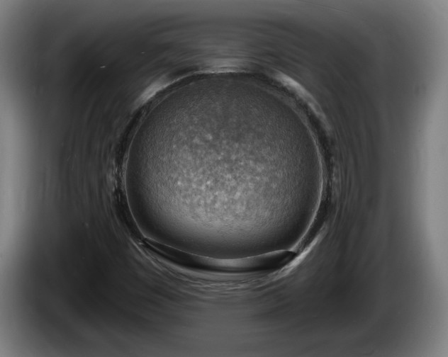 X0000086001449200703300937