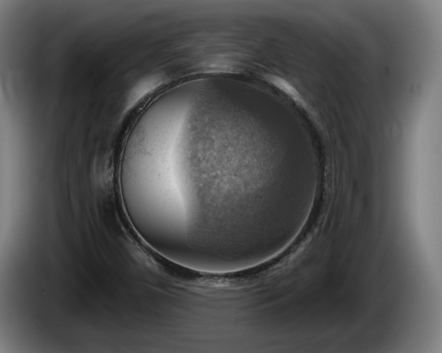 X0000086001450200703300937