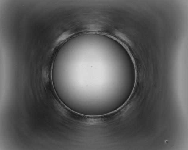 X0000086001451200703300937