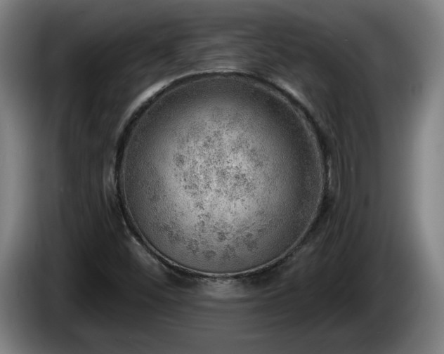 X0000086001452200703300937