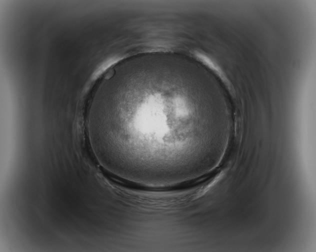 X0000086001453200703300937