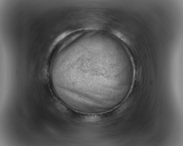 X0000086001454200703300937