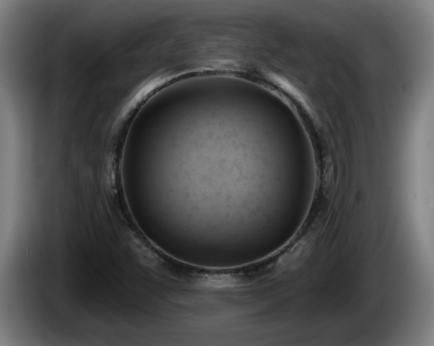 X0000086001455200703300937