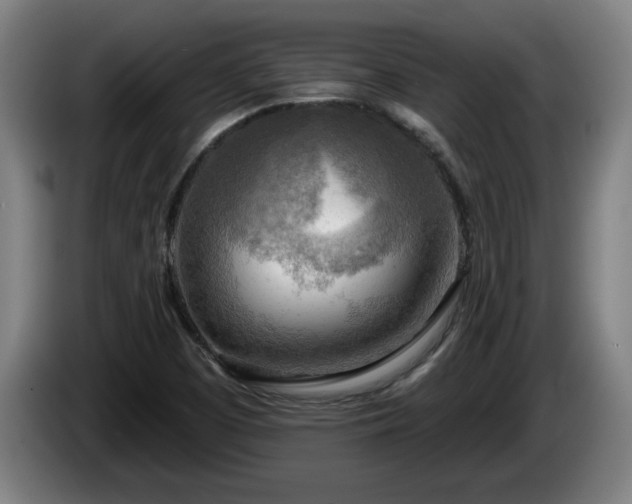 X0000086001457200703300937