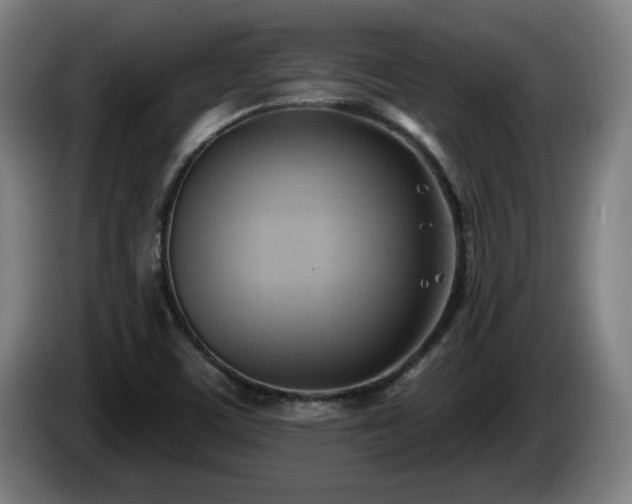 X0000086001459200703300937