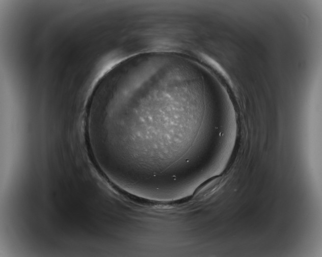 X0000086001463200703300937