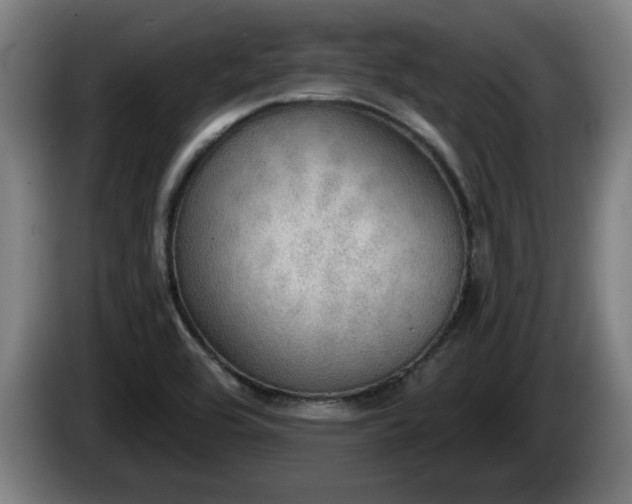 X0000086001464200703300937