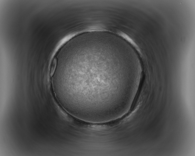 X0000086001469200703300937