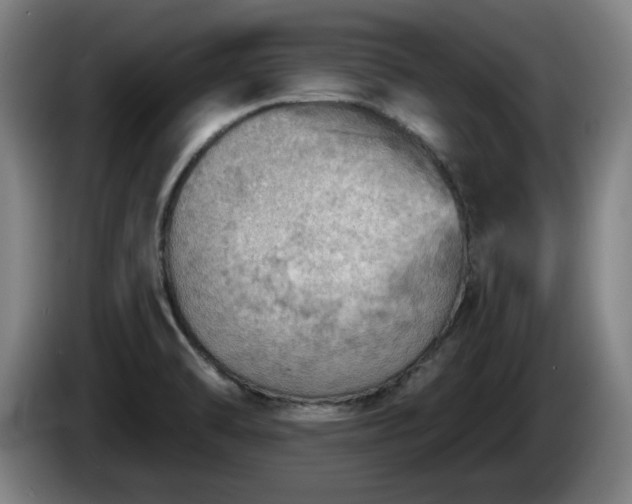 X0000086001470200703300937