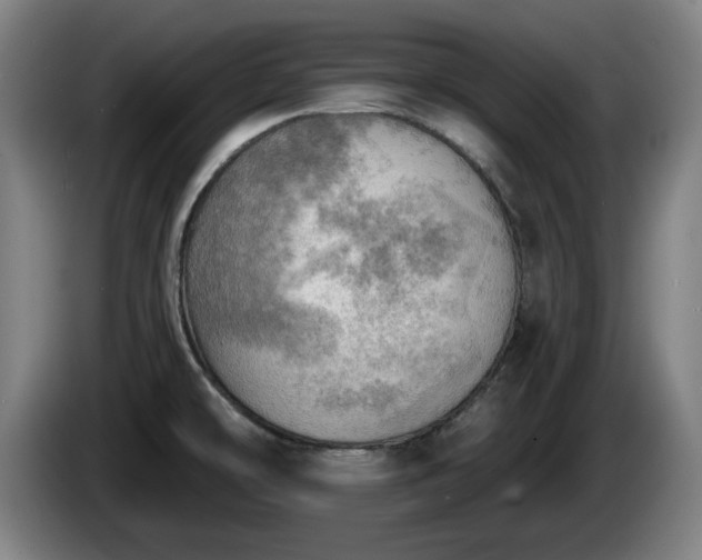 X0000086001478200703300937