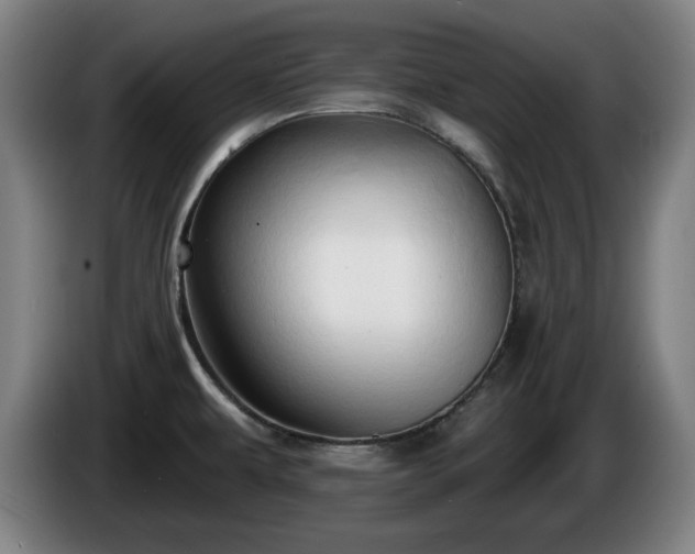 X0000086001479200703300937