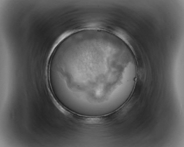 X0000086001482200703300937