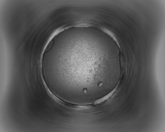 X0000086001483200703300937