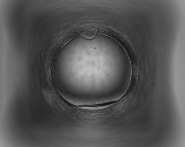 X0000086001489200703300936