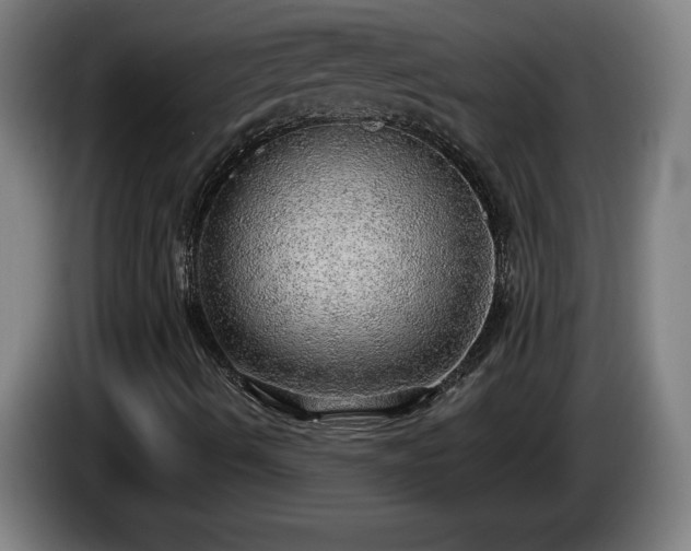 X0000086001490200703300936