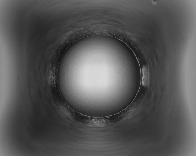 X0000086001491200703300936