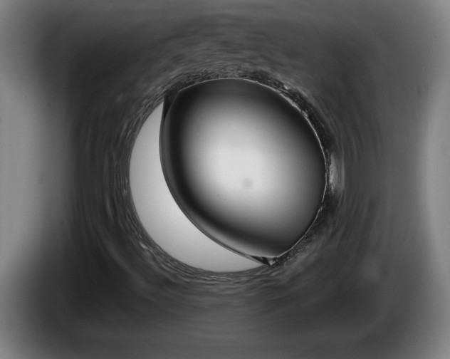 X0000086001492200703300936