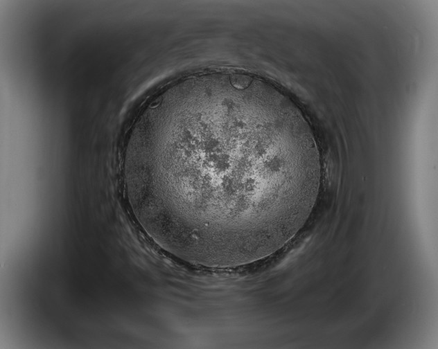 X0000086001494200703300936