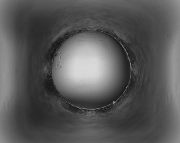 X0000086001495200703300936