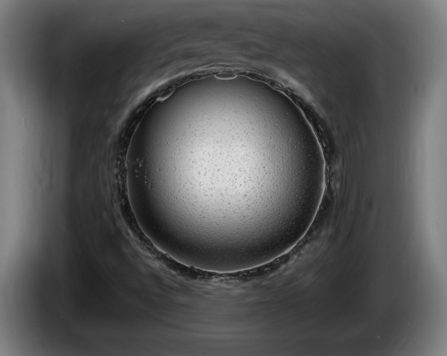 X0000086001496200703300936