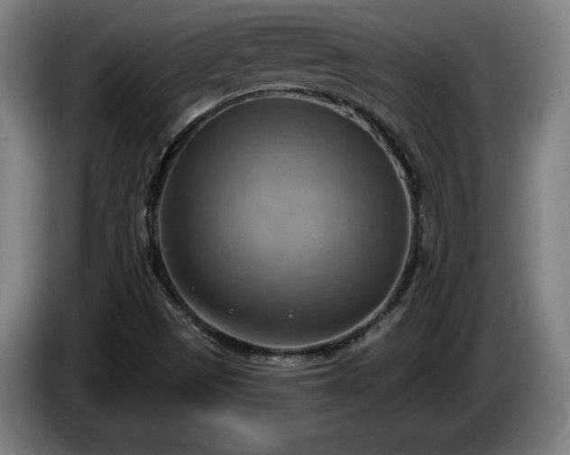 X0000086001497200703300936