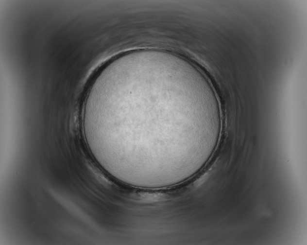 X0000086001498200703300936