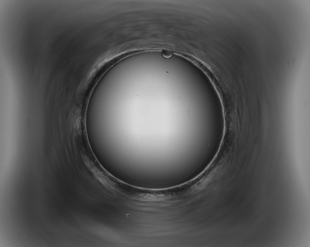 X0000086001499200703300936