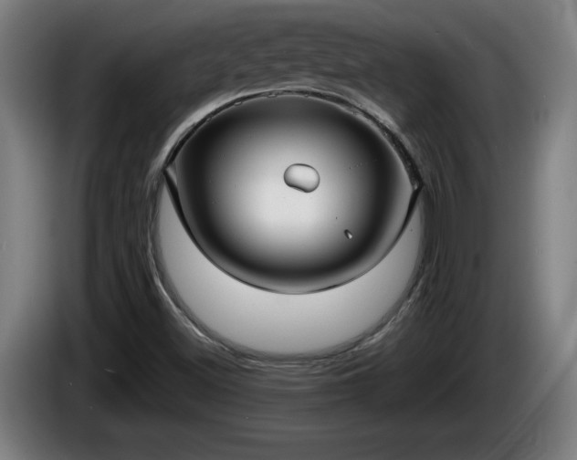 X0000086001500200703300936