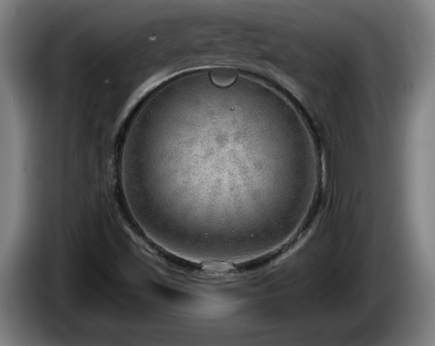 X0000086001501200703300936