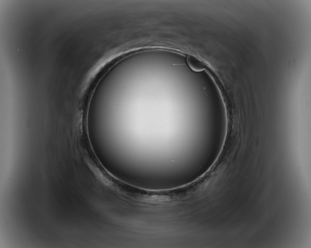 X0000086001503200703300936