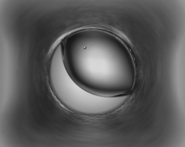 X0000086001504200703300936