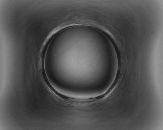 X0000086001506200703300936