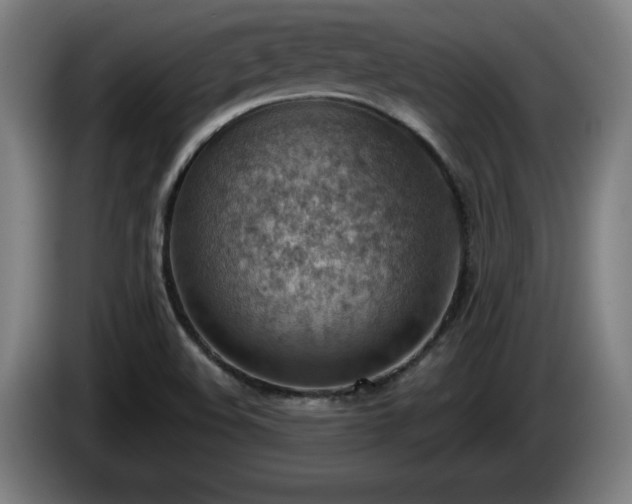 X0000086001508200703300936