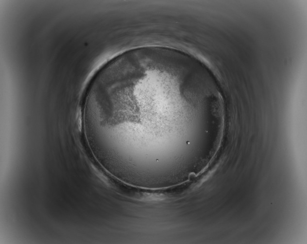 X0000086001509200703300936