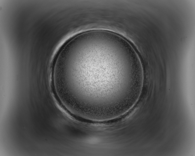 X0000086001511200703300936