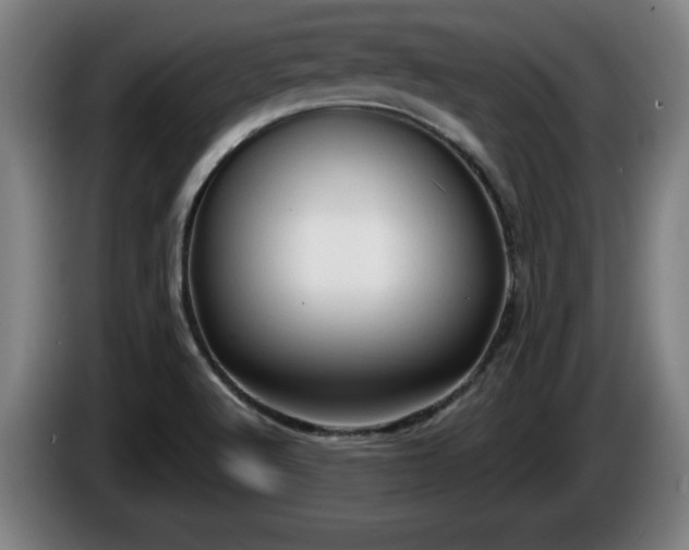 X0000086001512200703300936