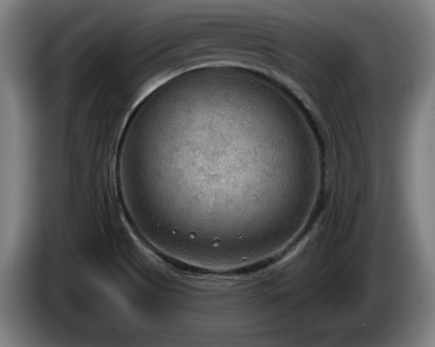 X0000086001513200703300936