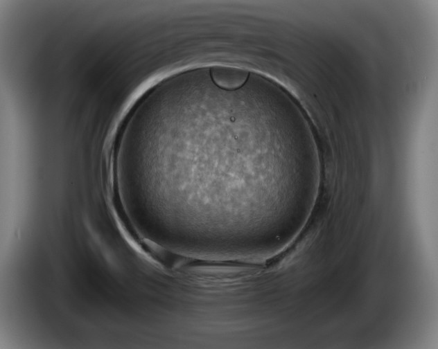 X0000086001515200703300936