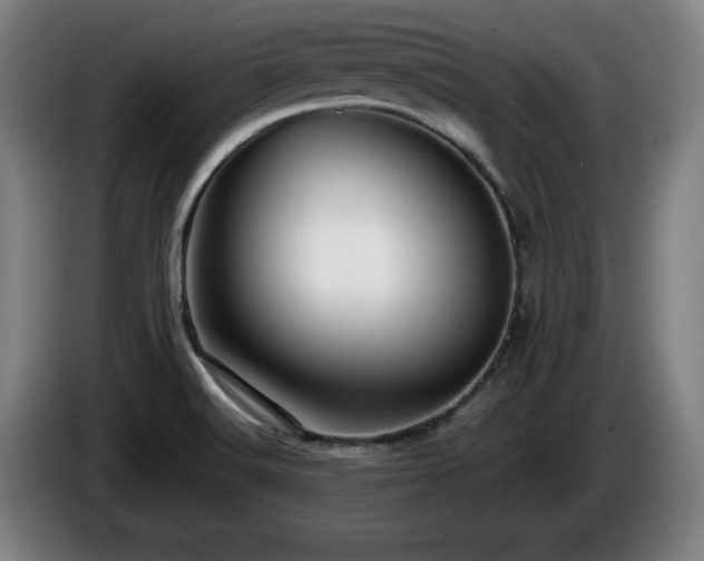 X0000086001516200703300936