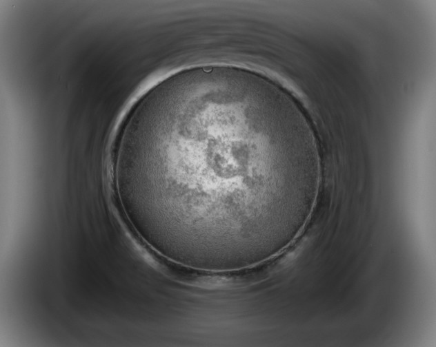 X0000086001517200703300936