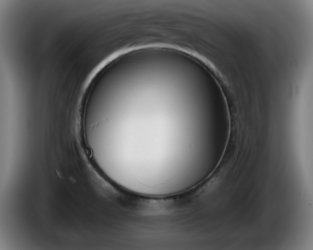 X0000086001518200703300936